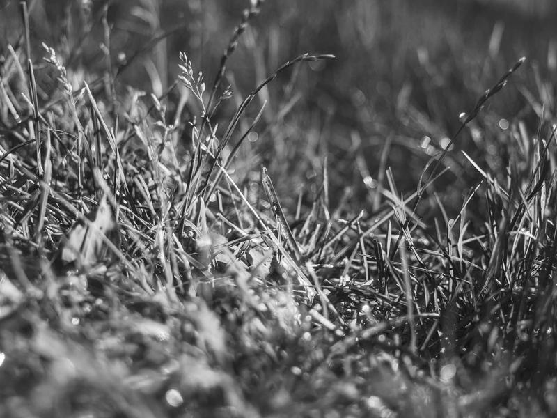 sudoku offline mode screenshot 4